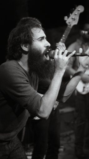 Rainbow Kitten Surprise