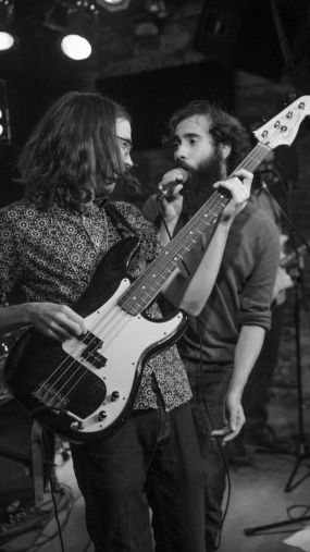 Rainbow Kitten Surprise