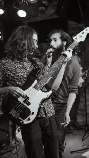 Rainbow Kitten Surprise