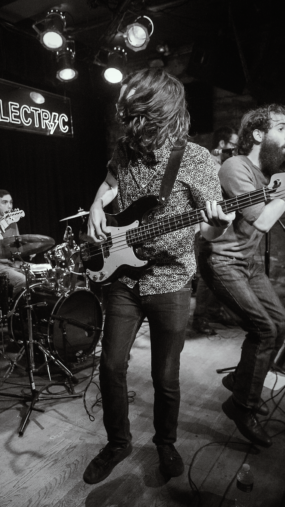 Rainbow Kitten Surprise