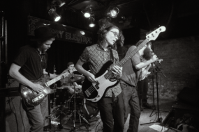 Rainbow Kitten Surprise