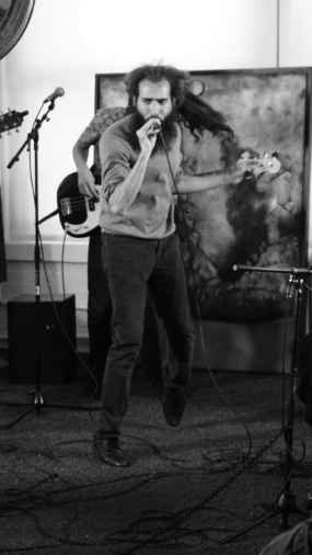 Rainbow Kitten Surprise