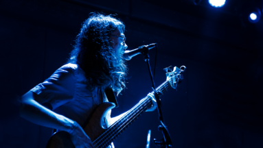 Rainbow Kitten Surprise