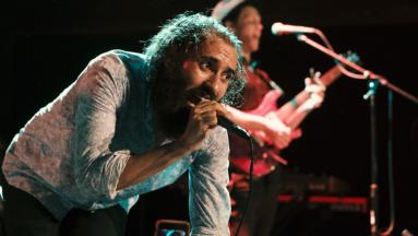 Rainbow Kitten Surprise