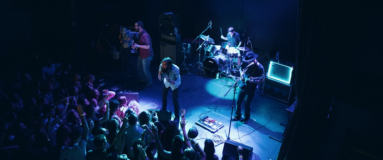 Rainbow Kitten Surprise