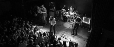 Rainbow Kitten Surprise