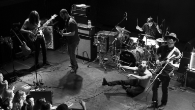 Rainbow Kitten Surprise