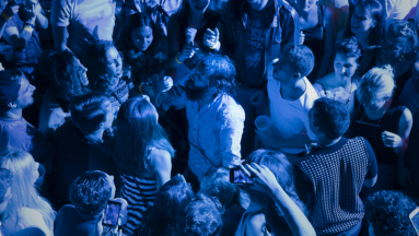 Rainbow Kitten Surprise