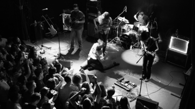 Rainbow Kitten Surprise