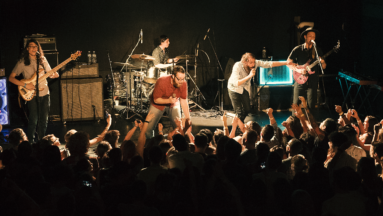 Rainbow Kitten Surprise