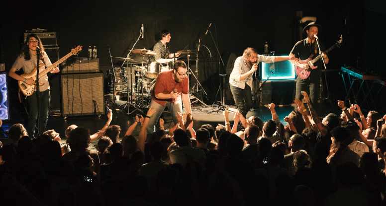 Rainbow Kitten Surprise