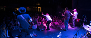 Rainbow Kitten Surprise