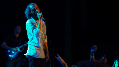 Rainbow Kitten Surprise